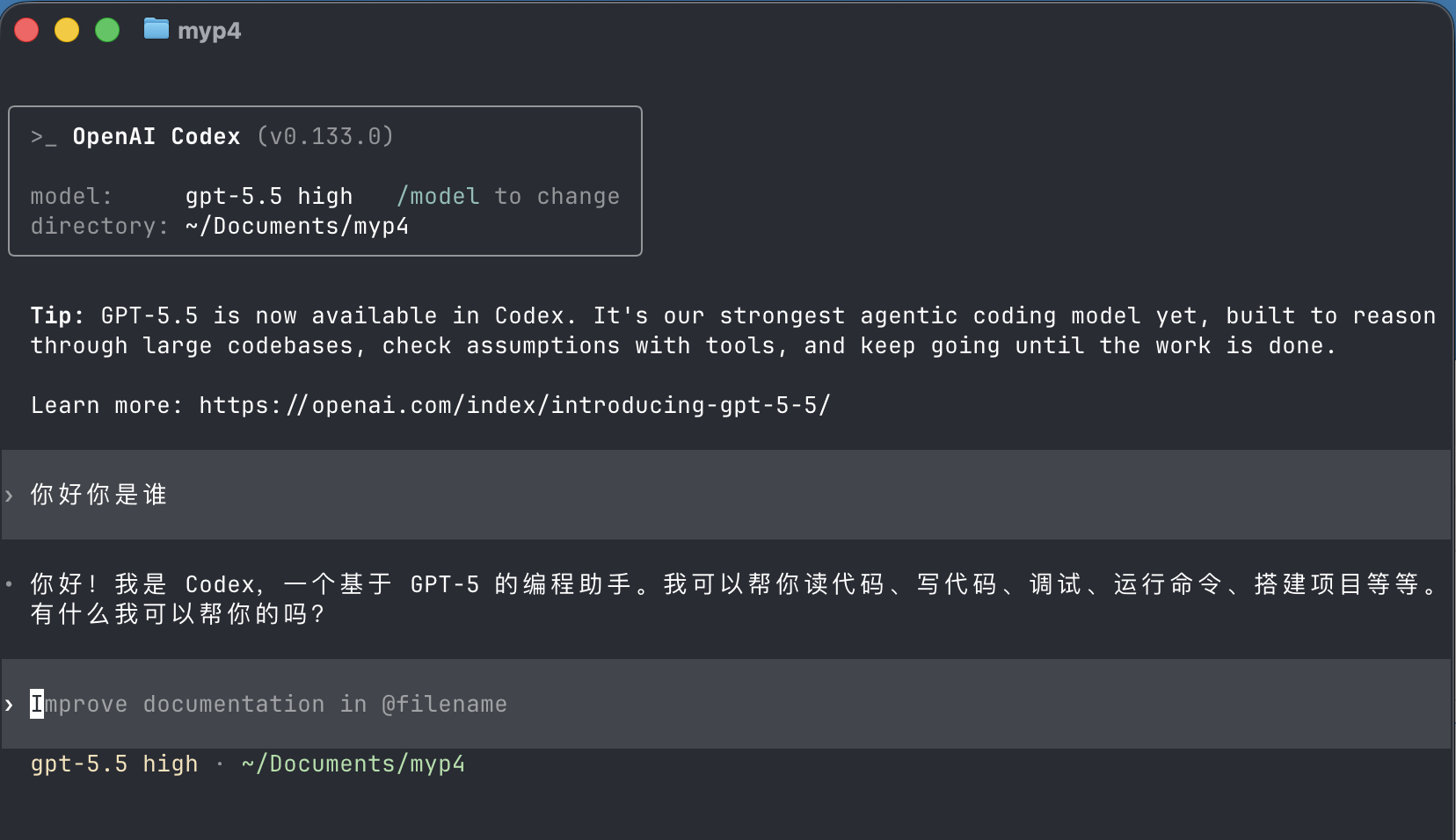 Codex CLI 用 cc-router 跑通